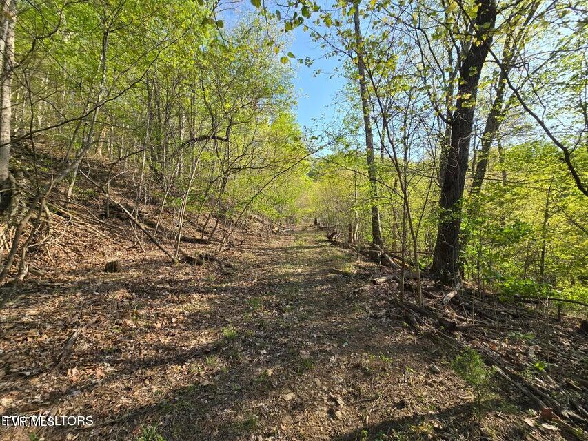 Tbd Boatmans Mountain Road Morristown, TN 37814 - Photo 5 of 57 5