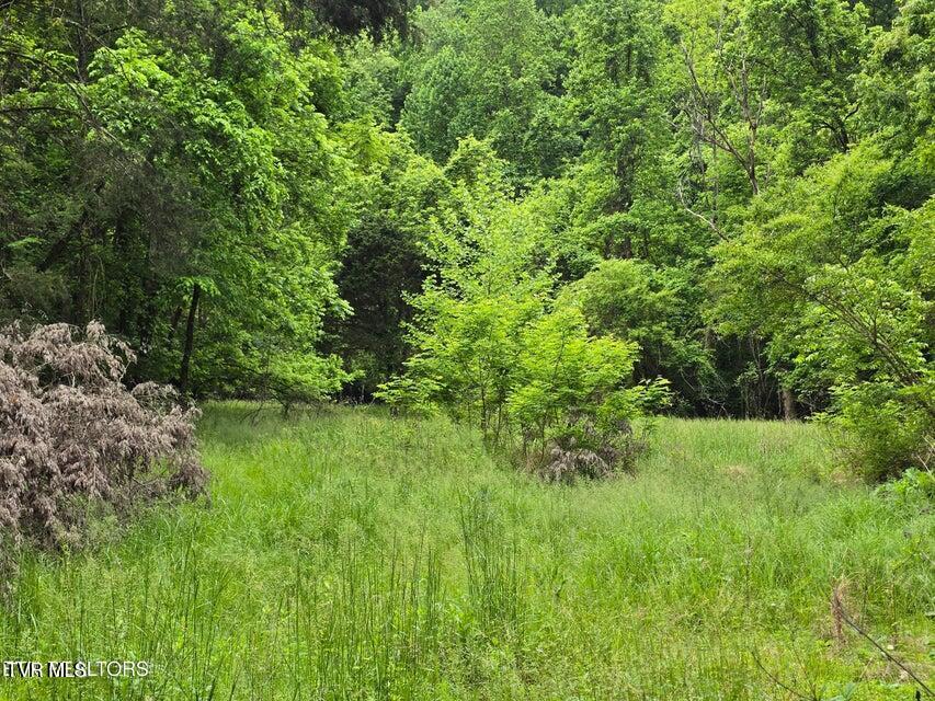 Tbd Boatmans Mountain Road Morristown, TN 37814 - Photo 52 of 57 55