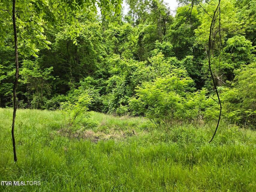 Tbd Boatmans Mountain Road Morristown, TN 37814 - Photo 53 of 57 56