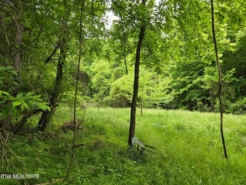 Tbd Boatmans Mountain Road Morristown, TN 37814 - Photo 54 of 57 57