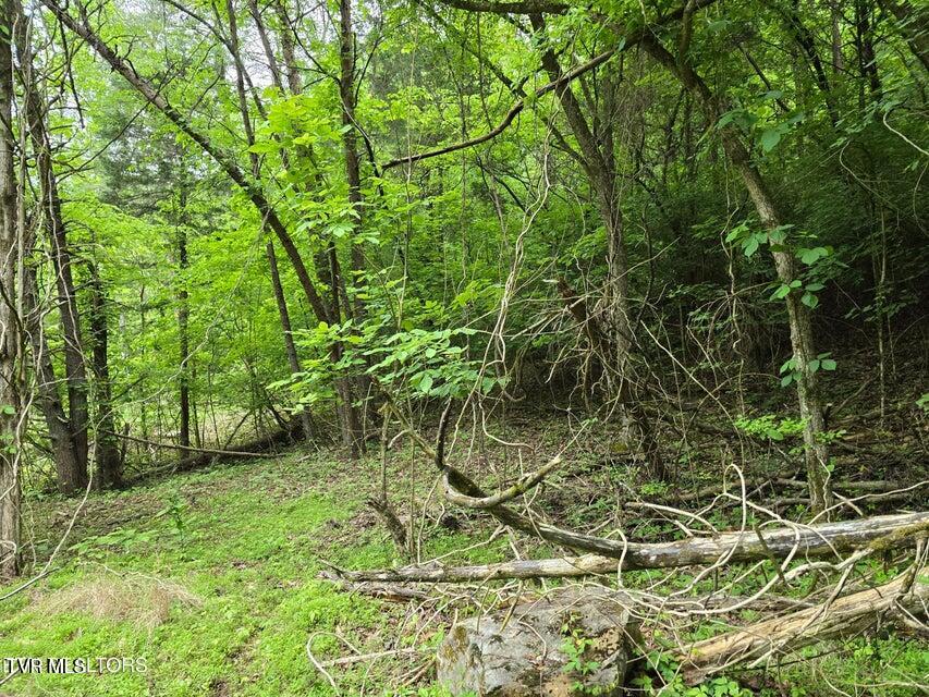 Tbd Boatmans Mountain Road Morristown, TN 37814 - Photo 55 of 57 58