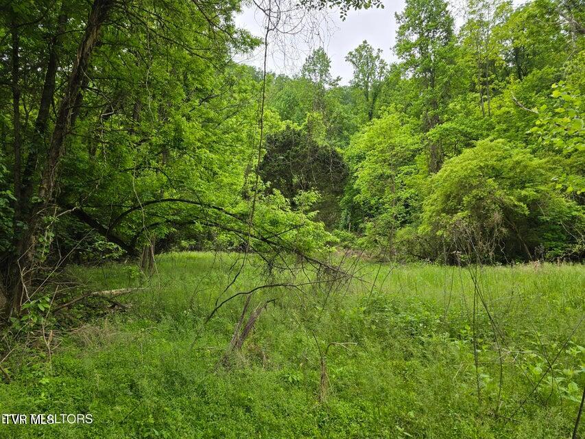 Tbd Boatmans Mountain Road Morristown, TN 37814 - Photo 56 of 57 59
