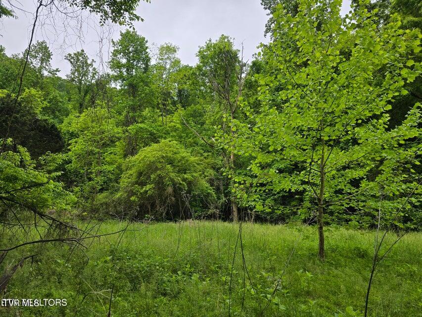 Tbd Boatmans Mountain Road Morristown, TN 37814 - Photo 57 of 57 60