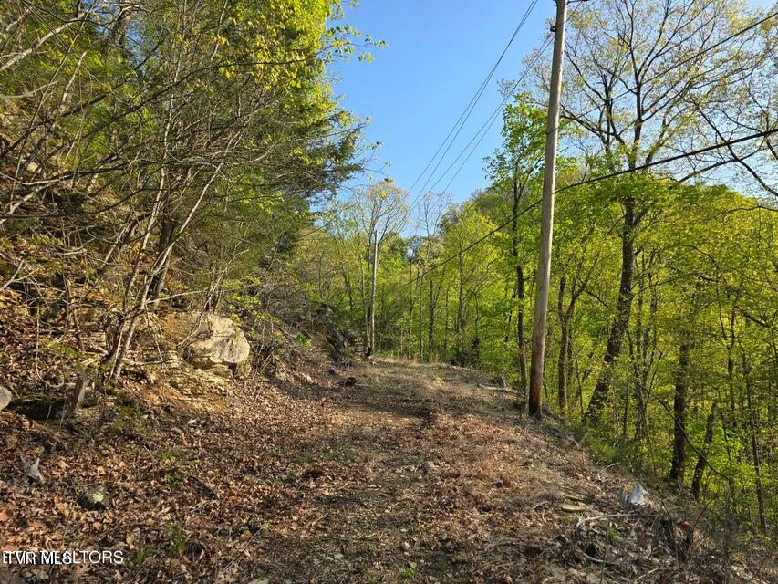 Tbd Boatmans Mountain Road Morristown, TN 37814 - Photo 6 of 57 6