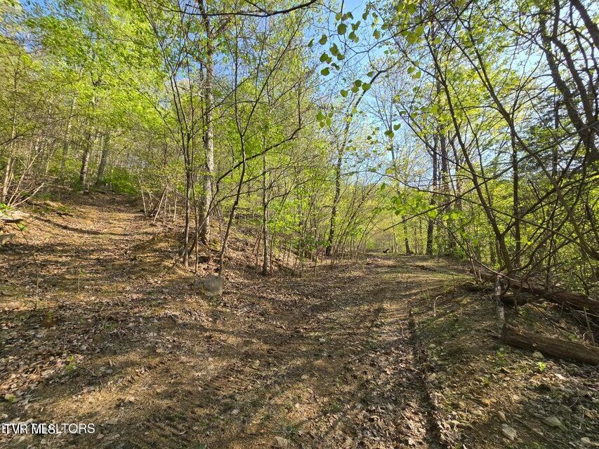 Tbd Boatmans Mountain Road Morristown, TN 37814 - Photo 7 of 57 8