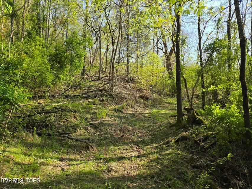 Tbd Boatmans Mountain Road Morristown, TN 37814 - Photo 8 of 57 9