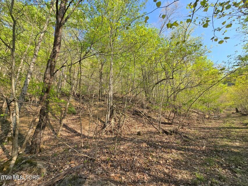 Tbd Boatmans Mountain Road Morristown, TN 37814 - Photo 9 of 57 10