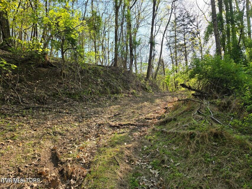 Tbd Boatmans Mountain Road Morristown, TN 37814 - Photo 10 of 57 11