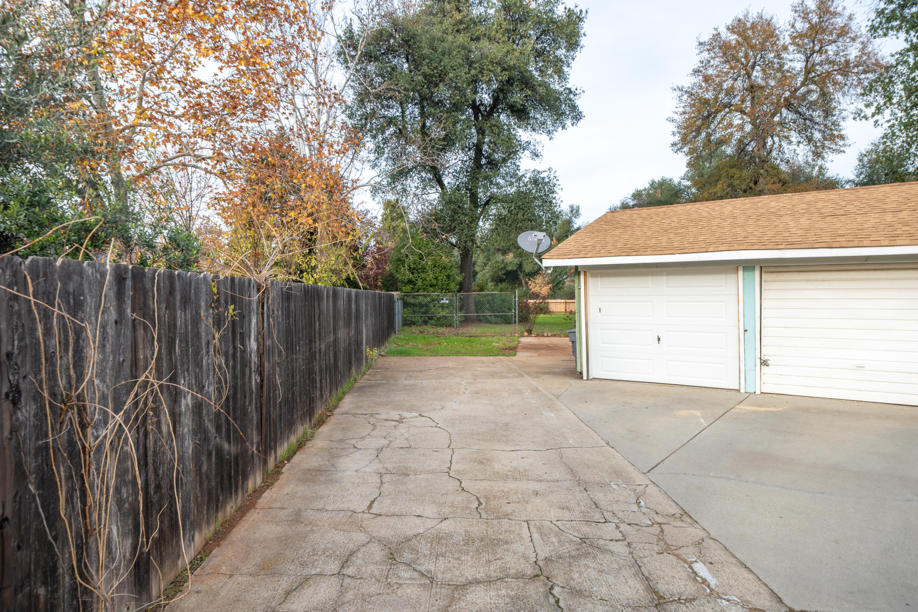 1209 C Street Redding, CA 96002 - Photo 17 of 48 a view of backyard and tree