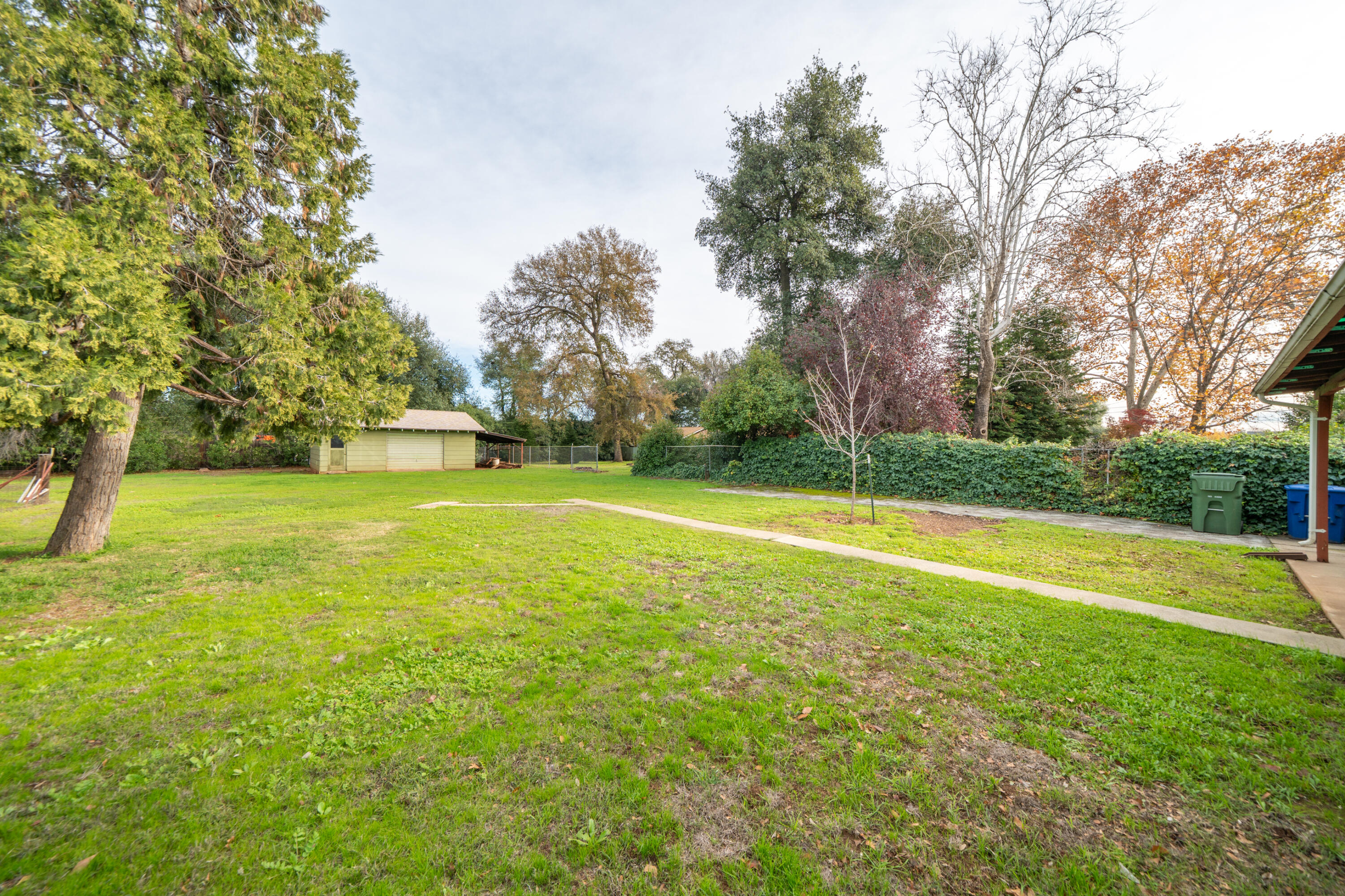 1209 C Street Redding, CA 96002 - Photo 32 of 48 a view of a swimming pool with a yard and large trees