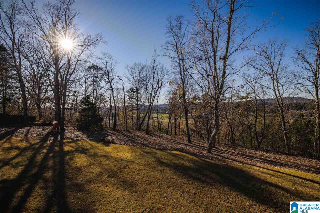 1345 Hickory Valley Road Trussville, AL 35173 - Photo 37 of 43