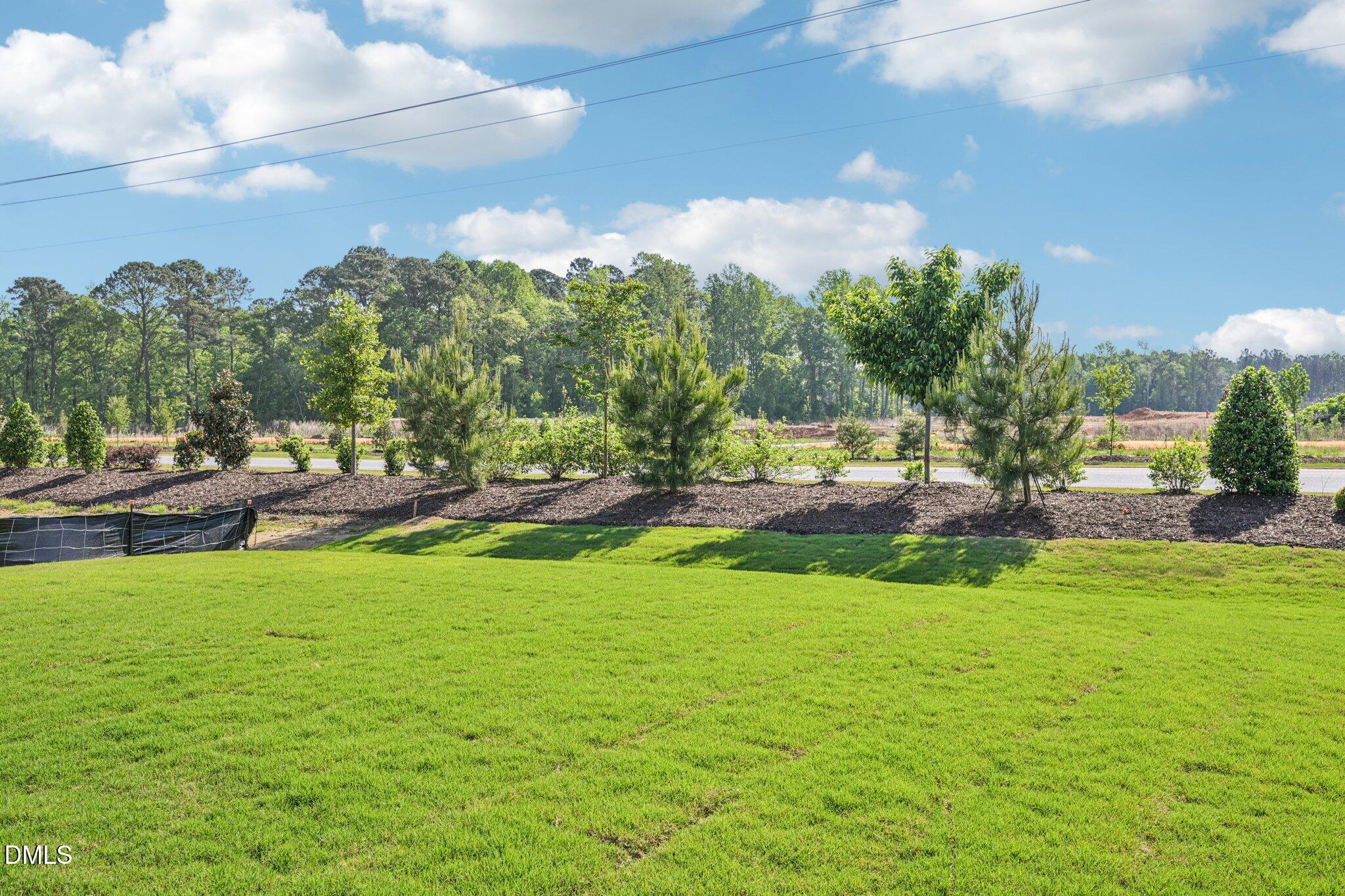 142 North Harvest Rdg Way, Unit HOMESITE 310 Clayton, NC 27520 - Photo 30 of 43 a view of yard with swimming pool and green space