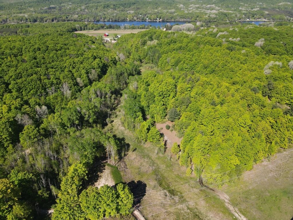 Tbd Pesek Road East Jordan, MI 49727 - Photo 9 of 28