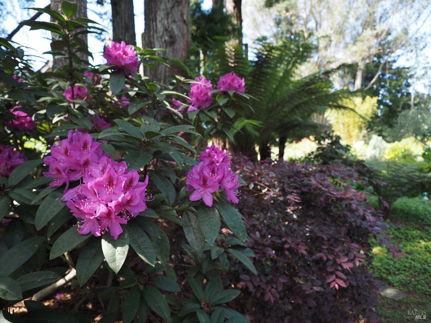 626 Gold Ridge Road Sebastopol, CA 95472 - Photo 2 of 35