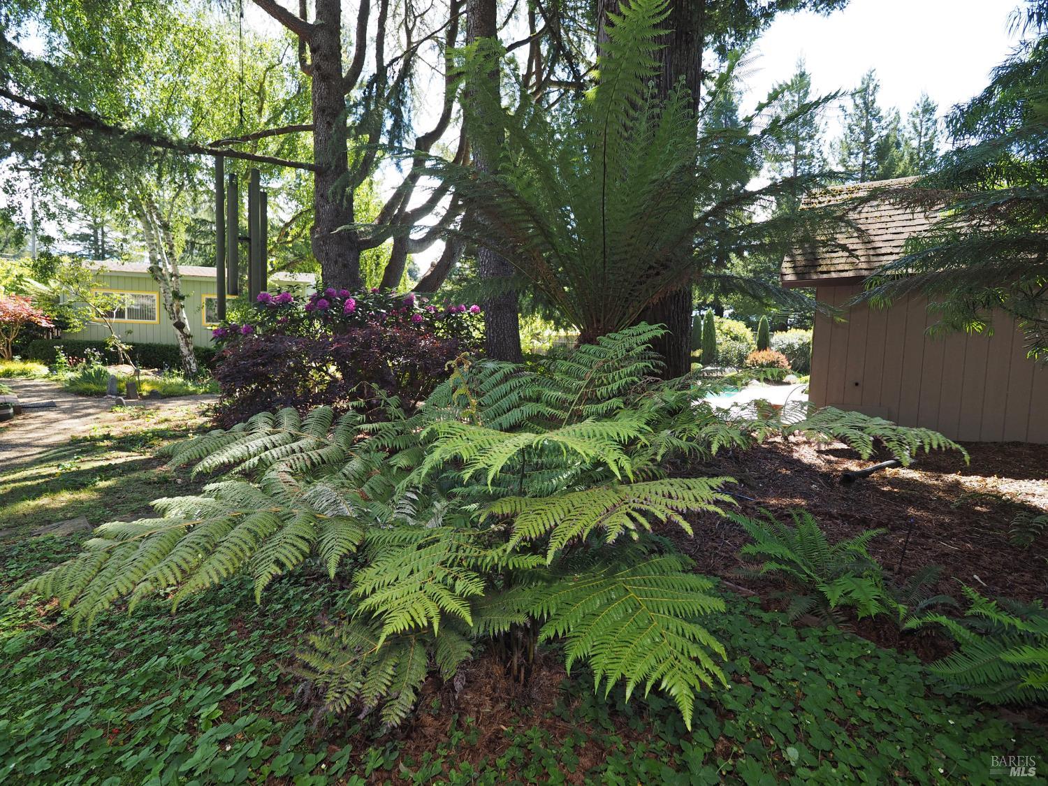 626 Gold Ridge Road Sebastopol, CA 95472 - Photo 33 of 35