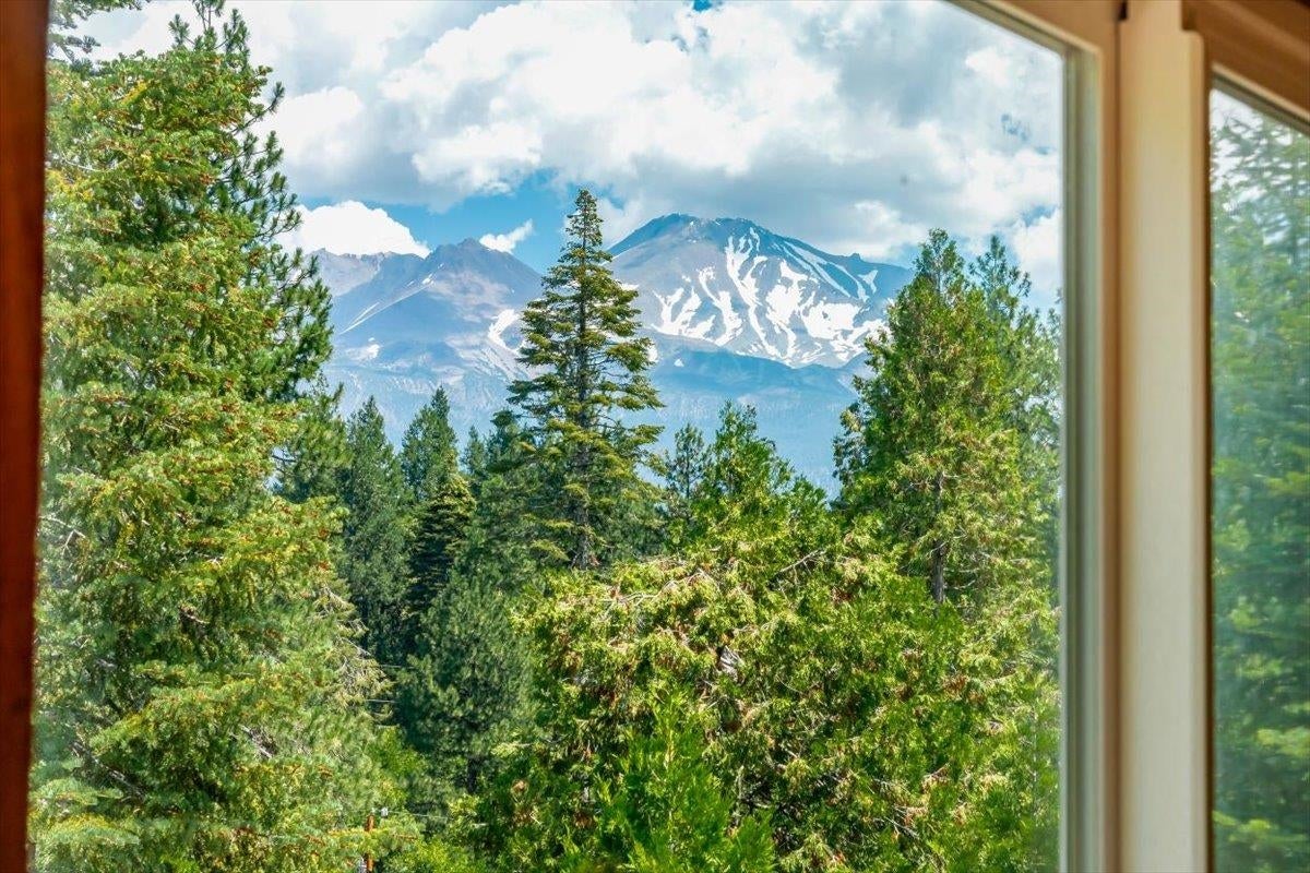 3409 North Old Stage Road Mount Shasta, CA 96067 - Photo 4 of 43 Gallery Image 4