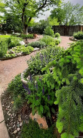 a view of a garden with a lake