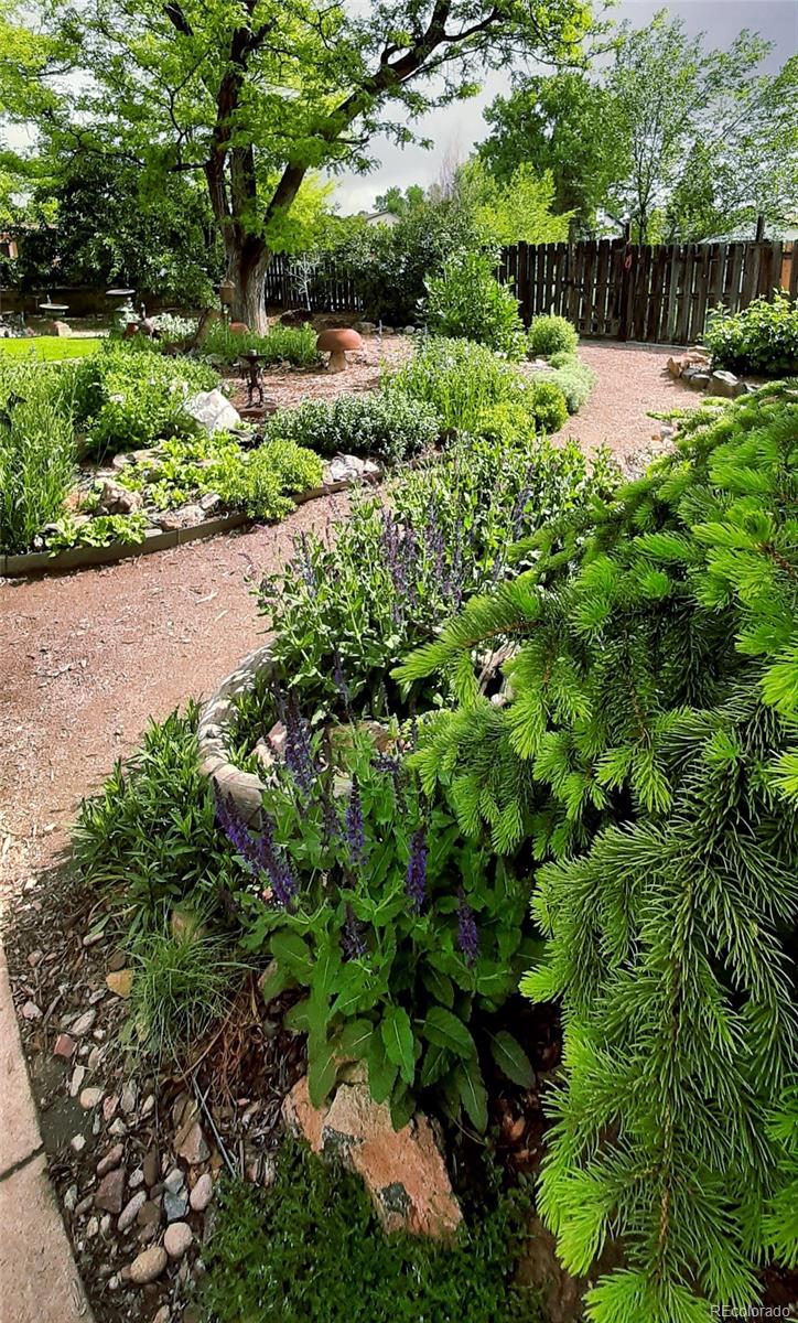 9795 Morrison Road Lakewood, CO 80227 - Photo 23 of 27 a view of a garden with a lake