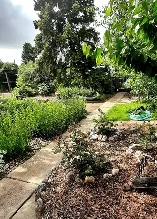a view of a garden with plants