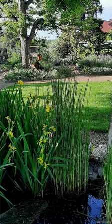 a view of a bunch of plant in a garden