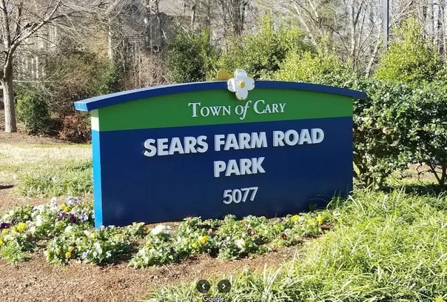 a view of a yard with plants and trees