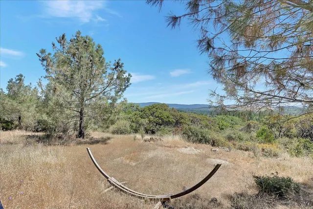 a view of a dry yard with trees