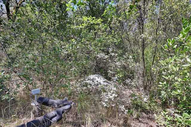 a view of a field with trees in the background