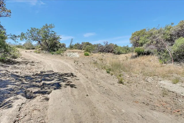 a view of a city with green space