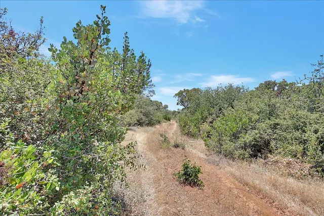 $1,100,000 | 8972 Amoruso Lane, Oregon House, CA 95962