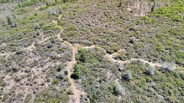 a view of a forest with an outdoor space