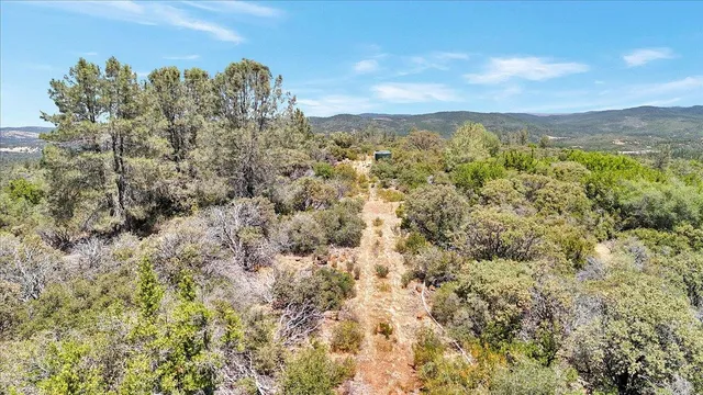 a view of a field with a mountain in the background