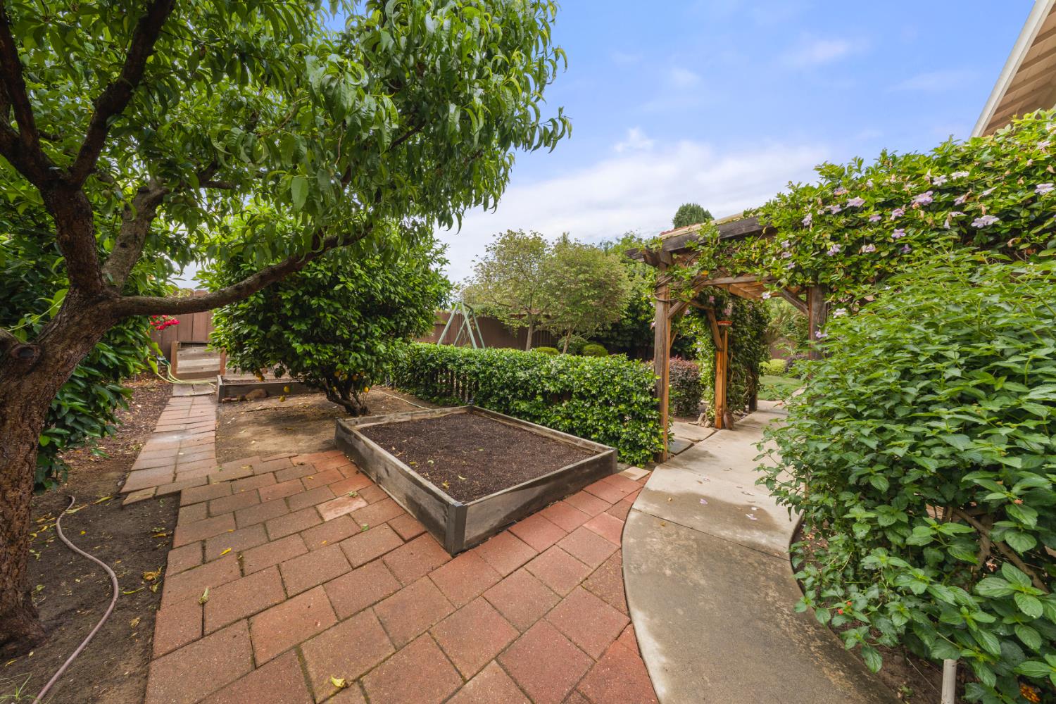 1325 Forest Drive Turlock, CA 95380 - Photo 26 of 28 a view of a backyard