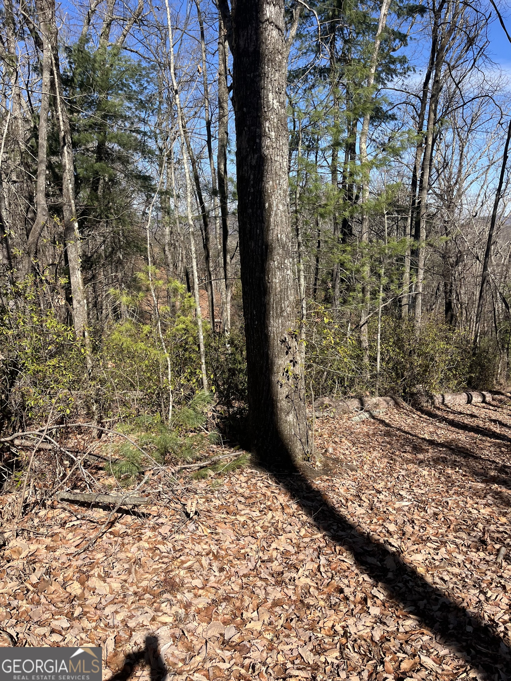 0 Eastman Mountain Road Tiger, GA 30576 - Photo 2 of 4 a view of a backyard of the house