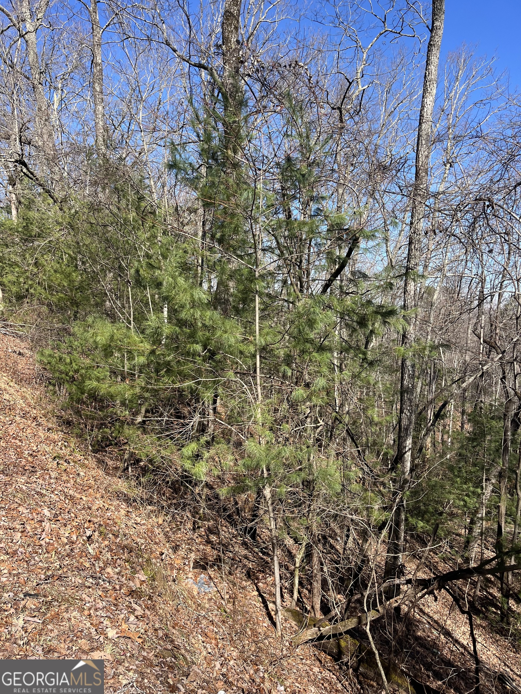 0 Eastman Mountain Road Tiger, GA 30576 - Photo 3 of 4 a view of a house with a tree