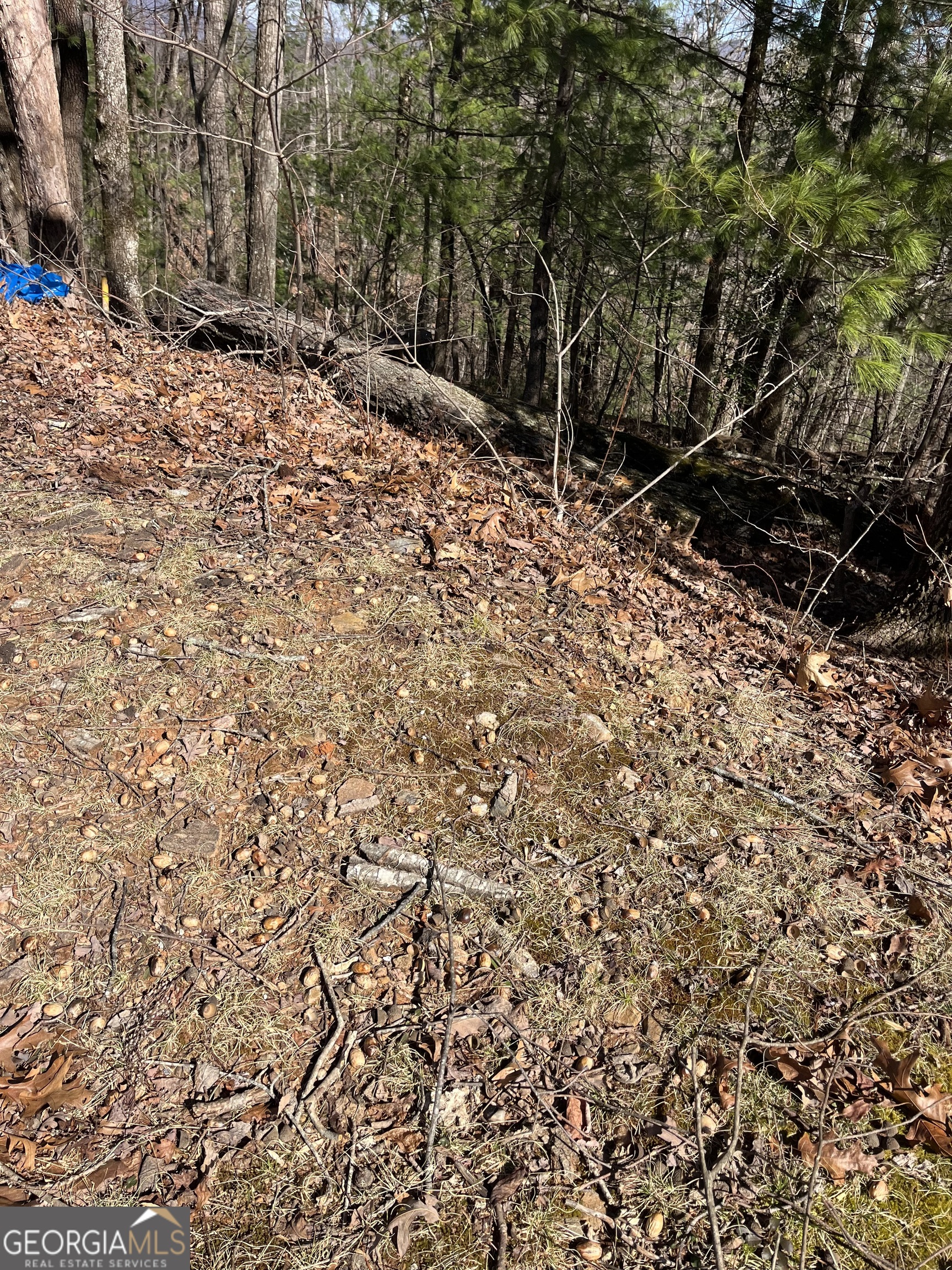 0 Eastman Mountain Road Tiger, GA 30576 - Photo 4 of 4