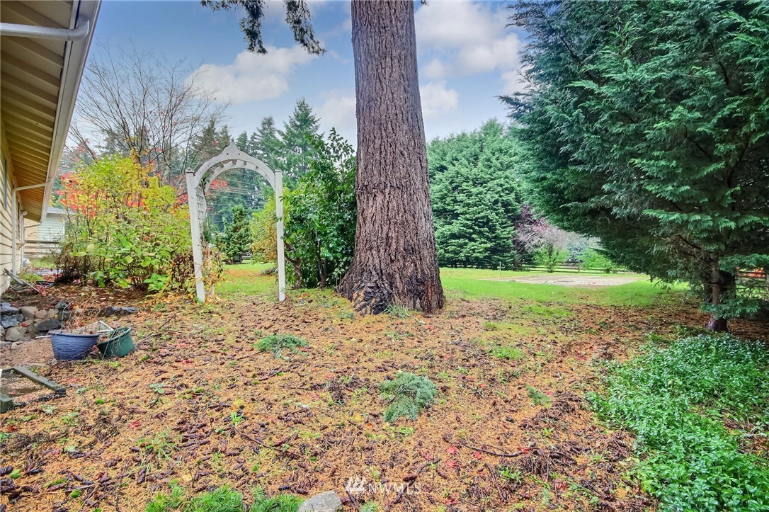 4321 196th Street Southeast Bothell, WA 98012 - Photo 39 of 40 a view of a garden with potted plants
