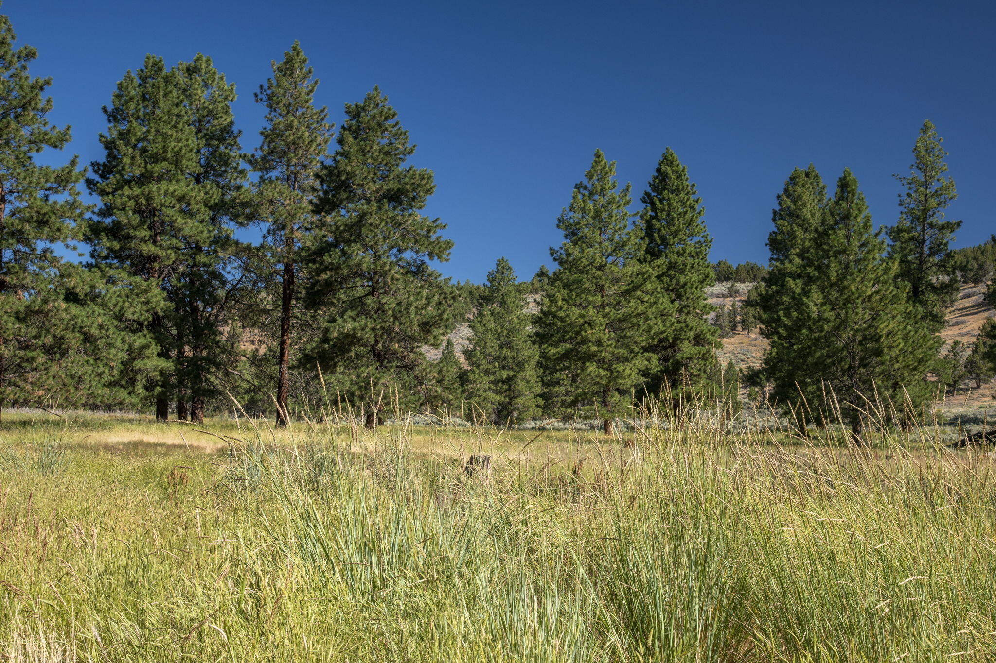32500 Tackman Road Prineville, OR 97754 - Photo 77 of 112