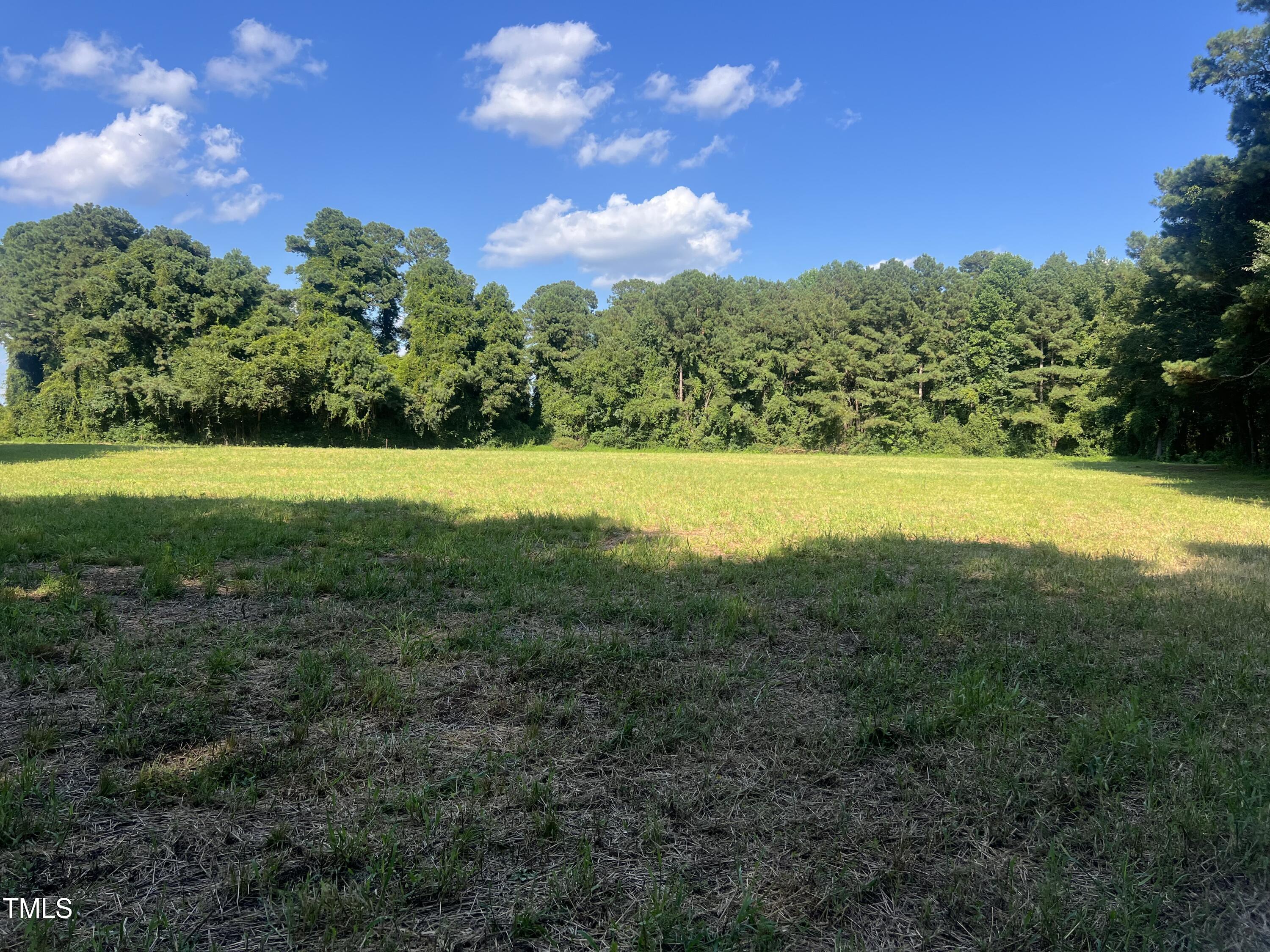 220 Brinkley Road Dunn, NC 28334 - Photo 6 of 13 IMG_5197