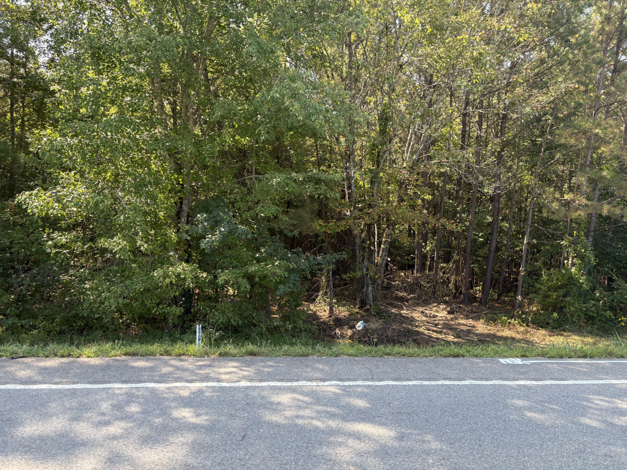 0 Garrison Road Hohenwald, TN 38462 - Photo 14 of 17 Gallery Image 14