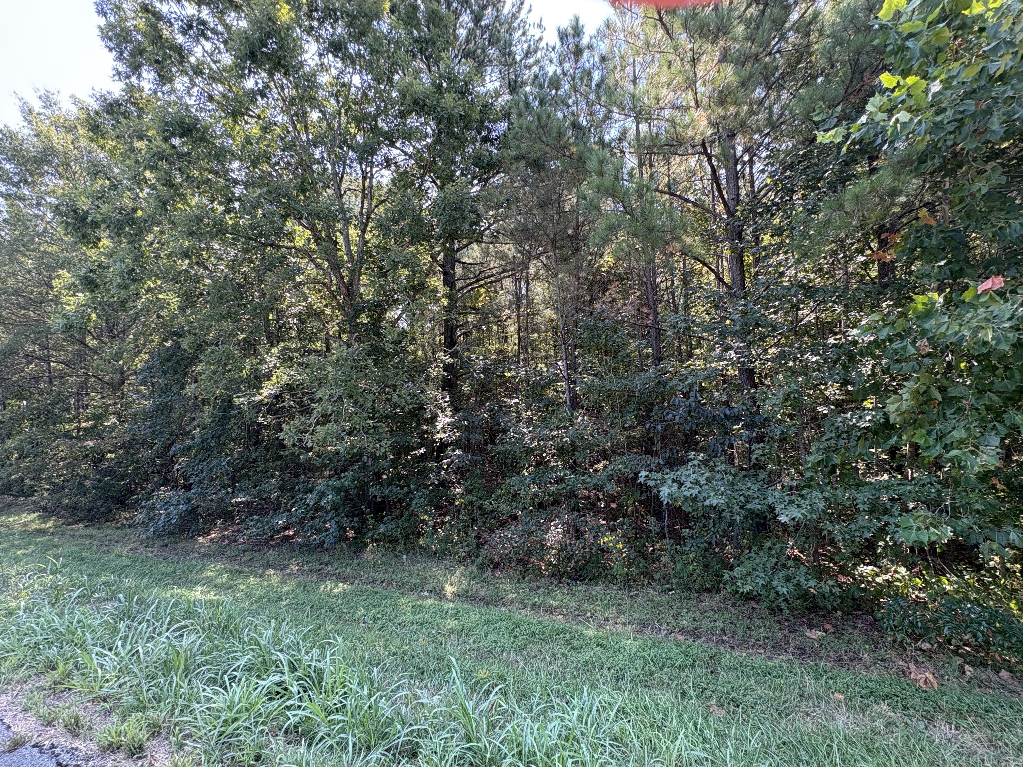 0 Garrison Road Hohenwald, TN 38462 - Photo 16 of 17 Gallery Image 16