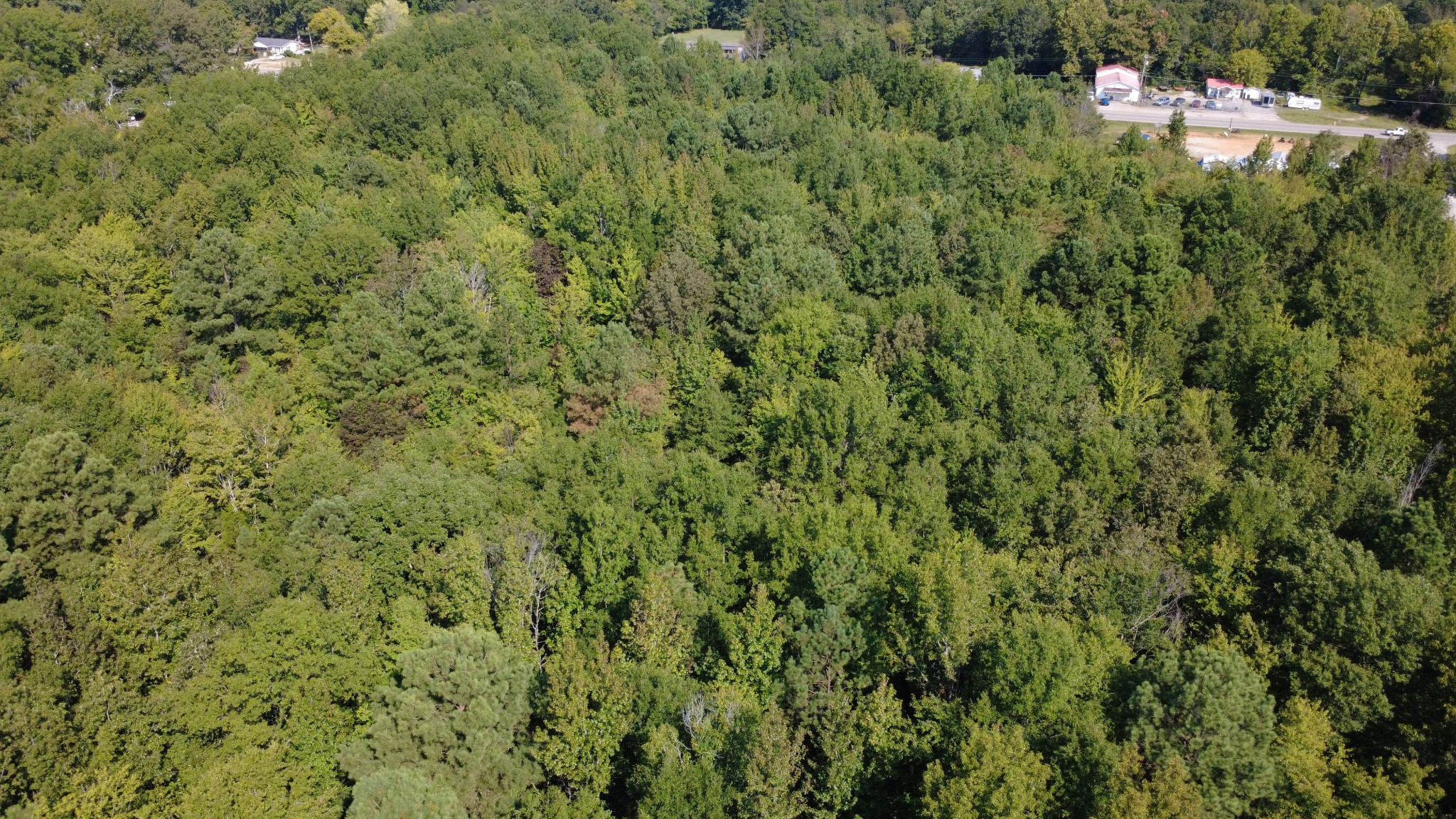 0 Garrison Road Hohenwald, TN 38462 - Photo 9 of 17 Gallery Image 9