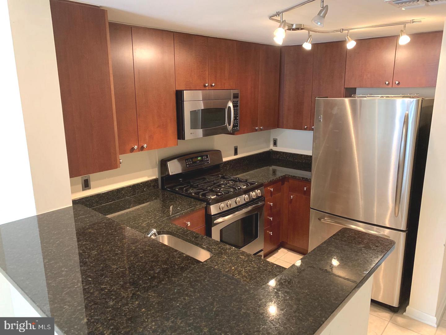 930 Wayne Avenue, Unit 1001 Silver Spring, MD 20910 - Photo 9 of 28 Kitchen