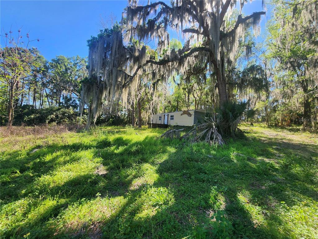 a view of backyard with green space