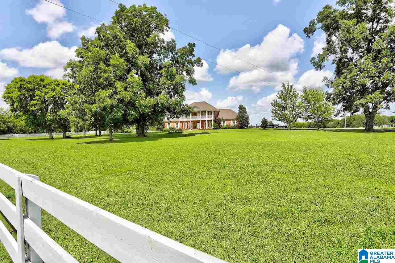 3041 Mathews Drive Mathews, AL 36052 - Photo 41 of 50