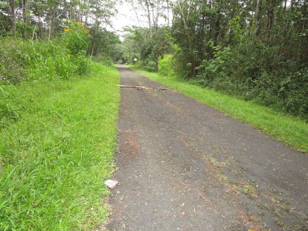 722 Hilo Road Pahoa, HI 96778 - Photo 3 of 3 Gallery Image 3