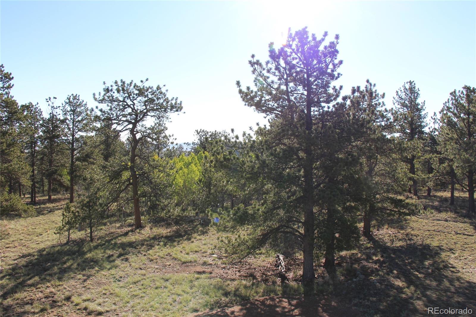 1072 Wagon Wheel Road Hartsel, CO 80449 - Photo 15 of 24 Gallery Image 15