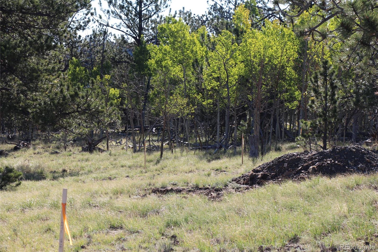 1072 Wagon Wheel Road Hartsel, CO 80449 - Photo 16 of 24 Gallery Image 16