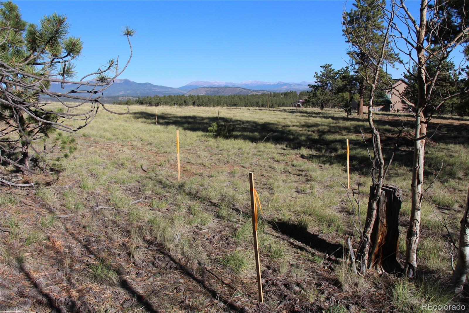 1072 Wagon Wheel Road Hartsel, CO 80449 - Photo 17 of 24 Gallery Image 17