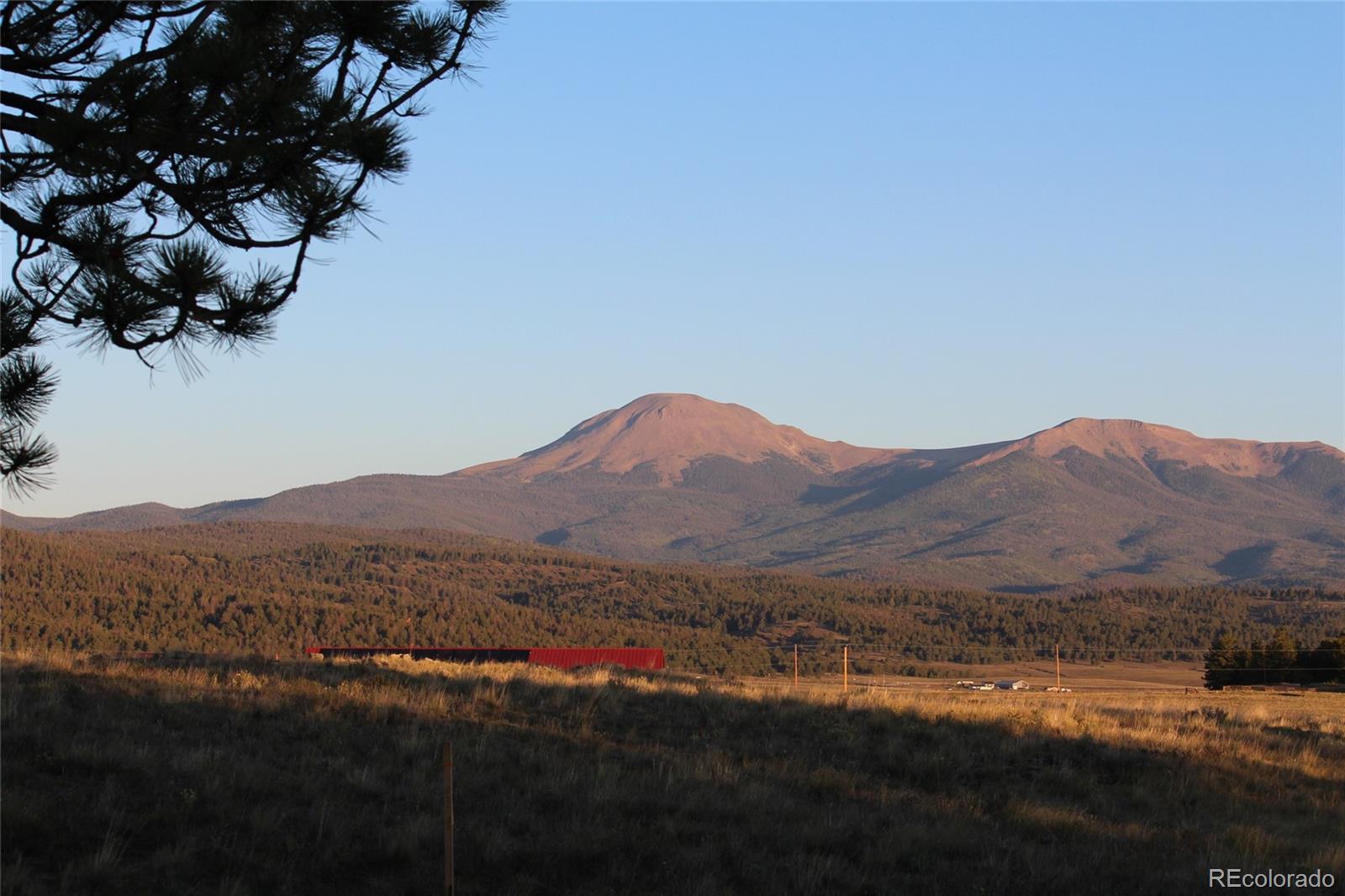 1072 Wagon Wheel Road Hartsel, CO 80449 - Photo 7 of 24 Gallery Image 7