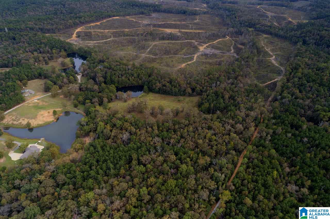 Serene Lake Road, Unit 8471 McCalla, AL 35111 - Photo 10 of 30